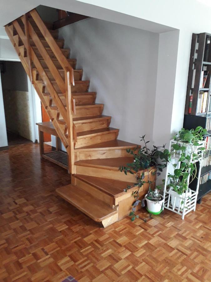 La Casa Del Mono Bed & Breakfast Ushuaia Luaran gambar